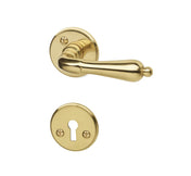 Door Handle A9683 Brass Complete