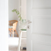 Door Handle Satin Nickel Complete