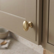 Knob Oval Brass