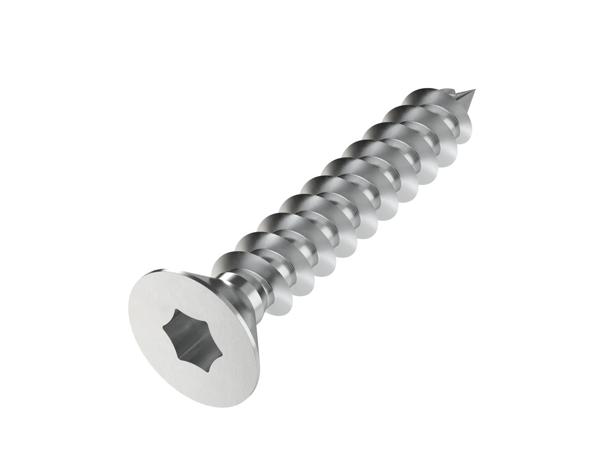 Träskruv 5x30mm A4 - Torx