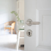 Door Handle Satin Nickel Complete