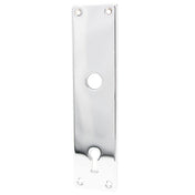 Backplate 5 Chrome