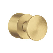 Single Hook 2-Pack Home Satin brass