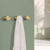 Single Hook 2-Pack Home Satin brass