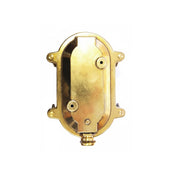 Cage Light Oval Brass 175 X 130 MM